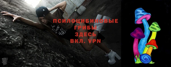 гашик Балахна