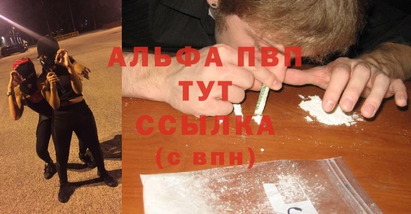 гашик Балахна
